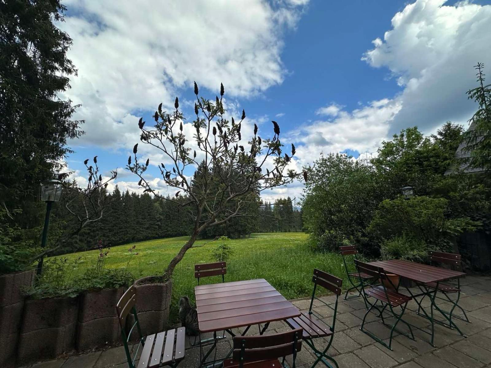 Waldhotel Zoebischhaus Hotel Bad Reiboldsgruen