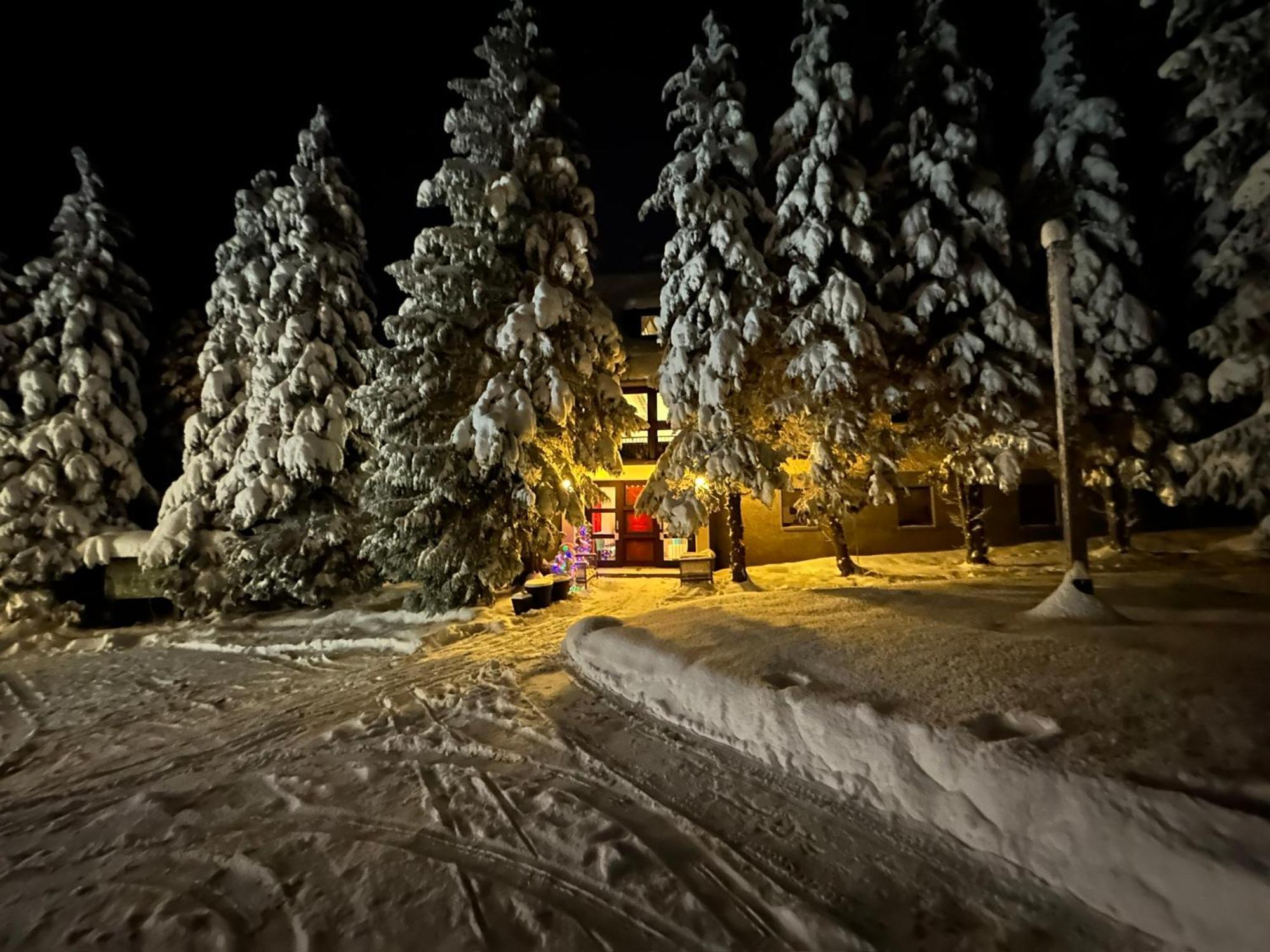 Waldhotel Zoebischhaus 2* Bad Reiboldsgruen