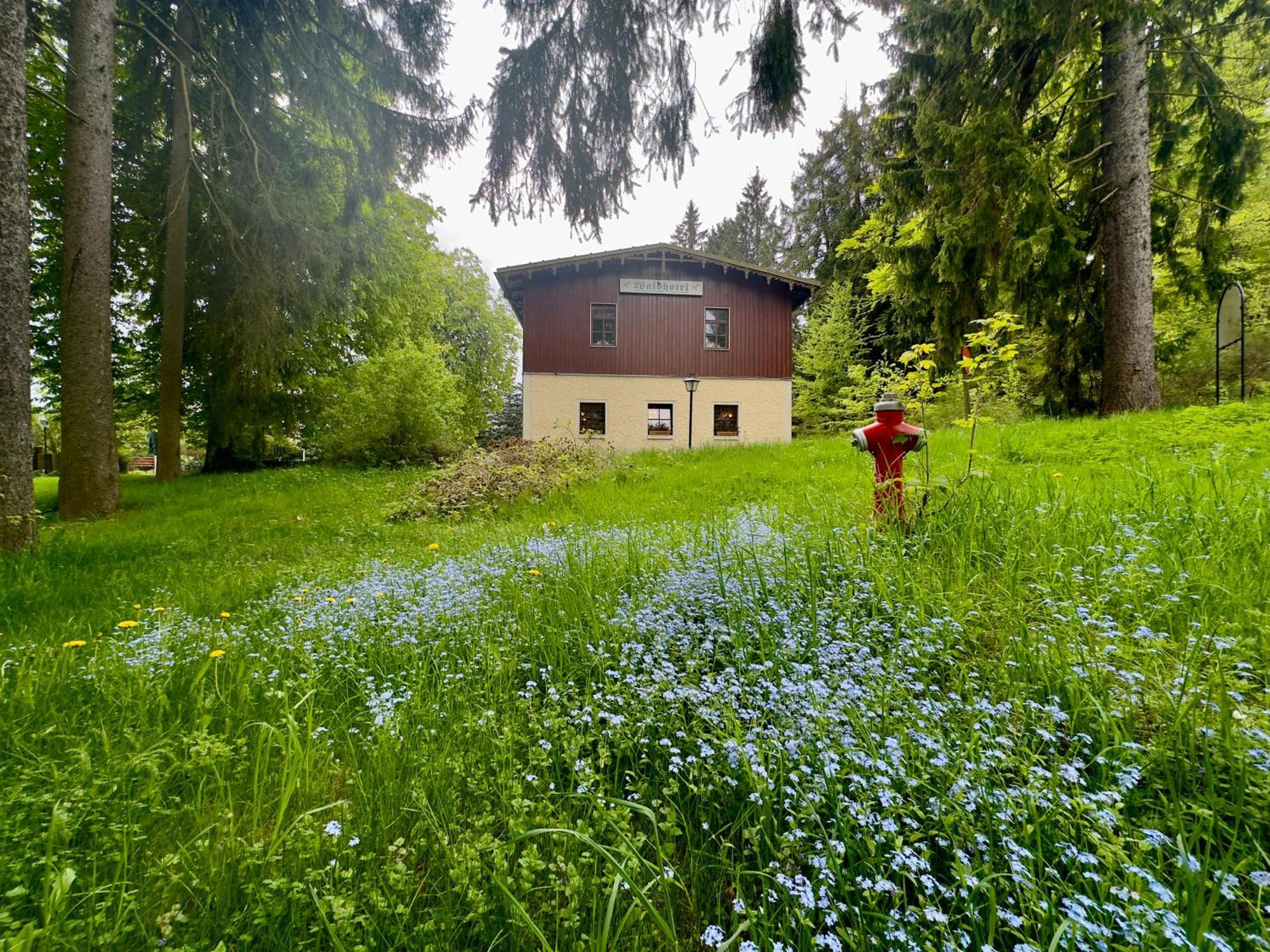 Waldhotel Zoebischhaus Hotel 2*