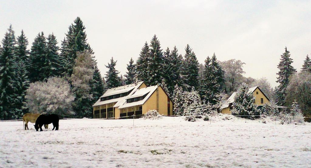 Hotel Waldhotel Zoebischhaus