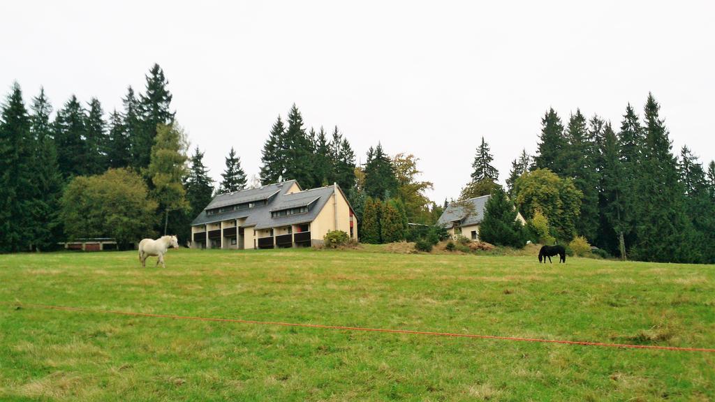 Waldhotel Zoebischhaus