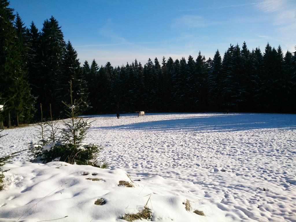 Waldhotel Zoebischhaus Bad Reiboldsgruen
