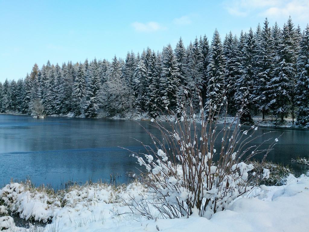 Waldhotel Zoebischhaus Hotel 2*