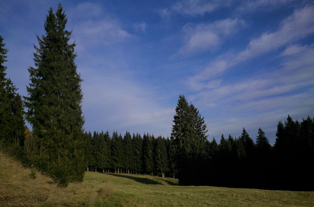 Hotel Waldhotel Zoebischhaus 2*